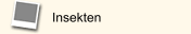 Insekten
