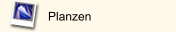 Planzen